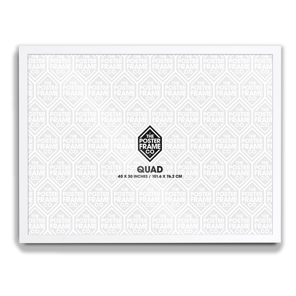 Quad 30x40 inch Movie Poster Frame White